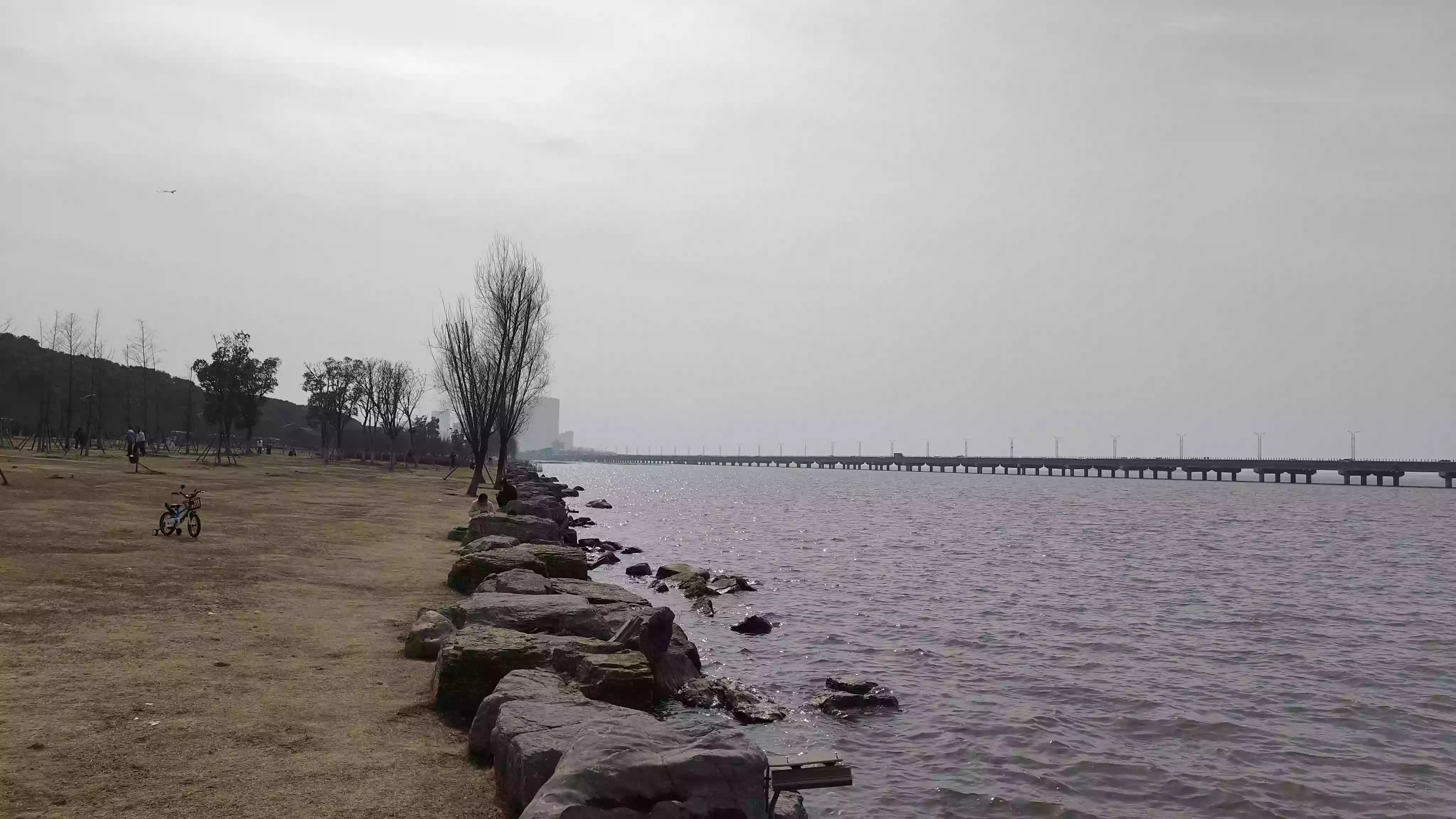 IMG20250216132943