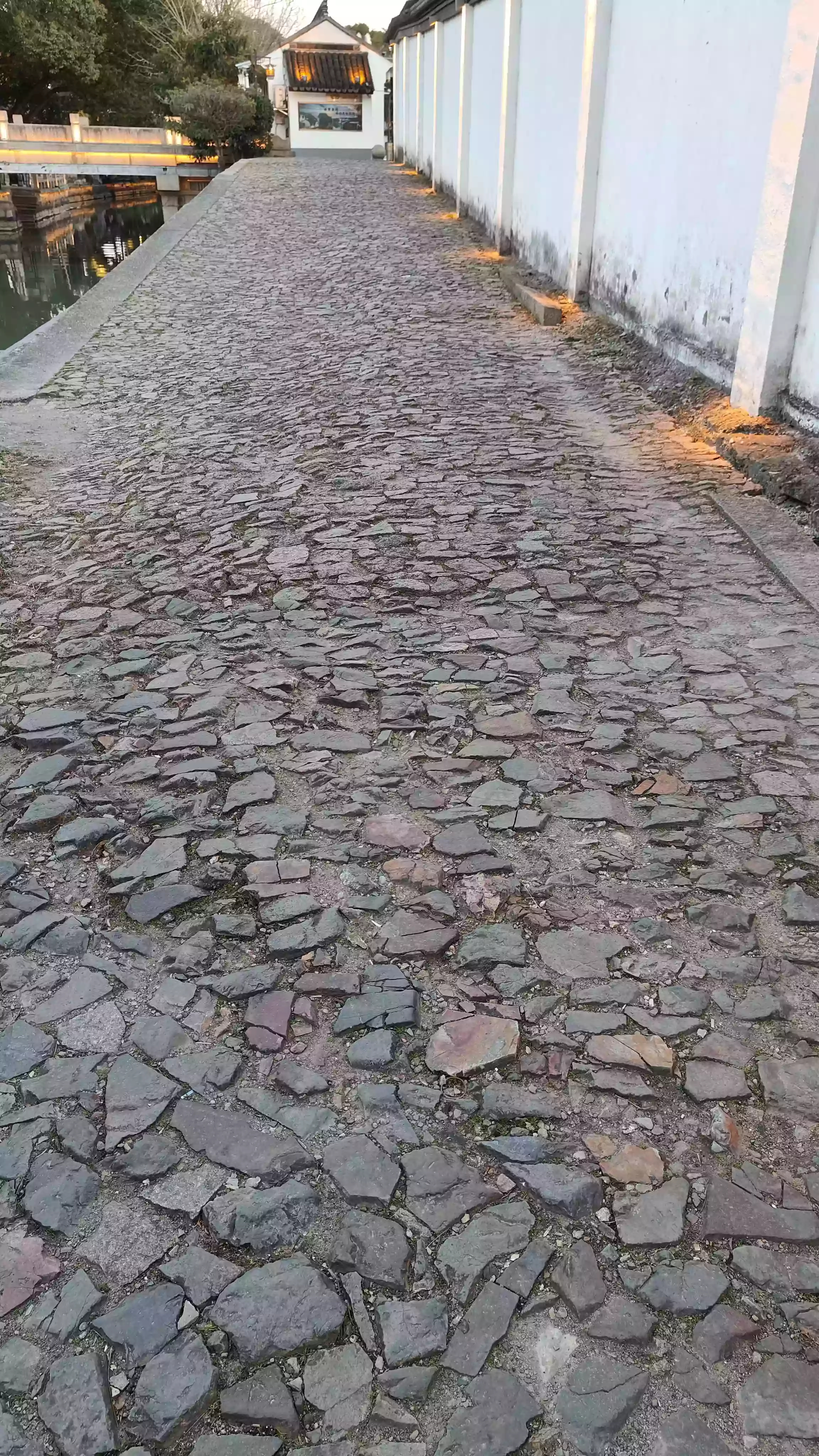 IMG20250208173408